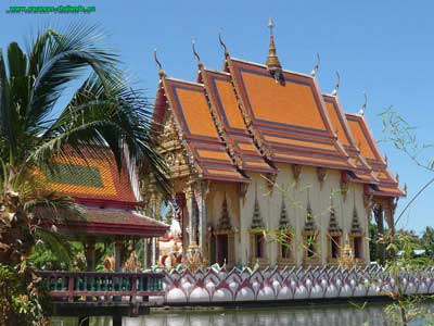 Many beautiful Buddhist temples on Koh Samui in Thailand