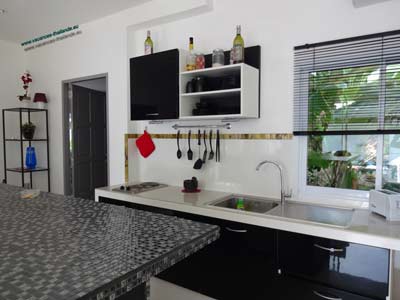 table, Kitchen worktop with sink, hobs and, suspended furniture for dishes, various accessories 